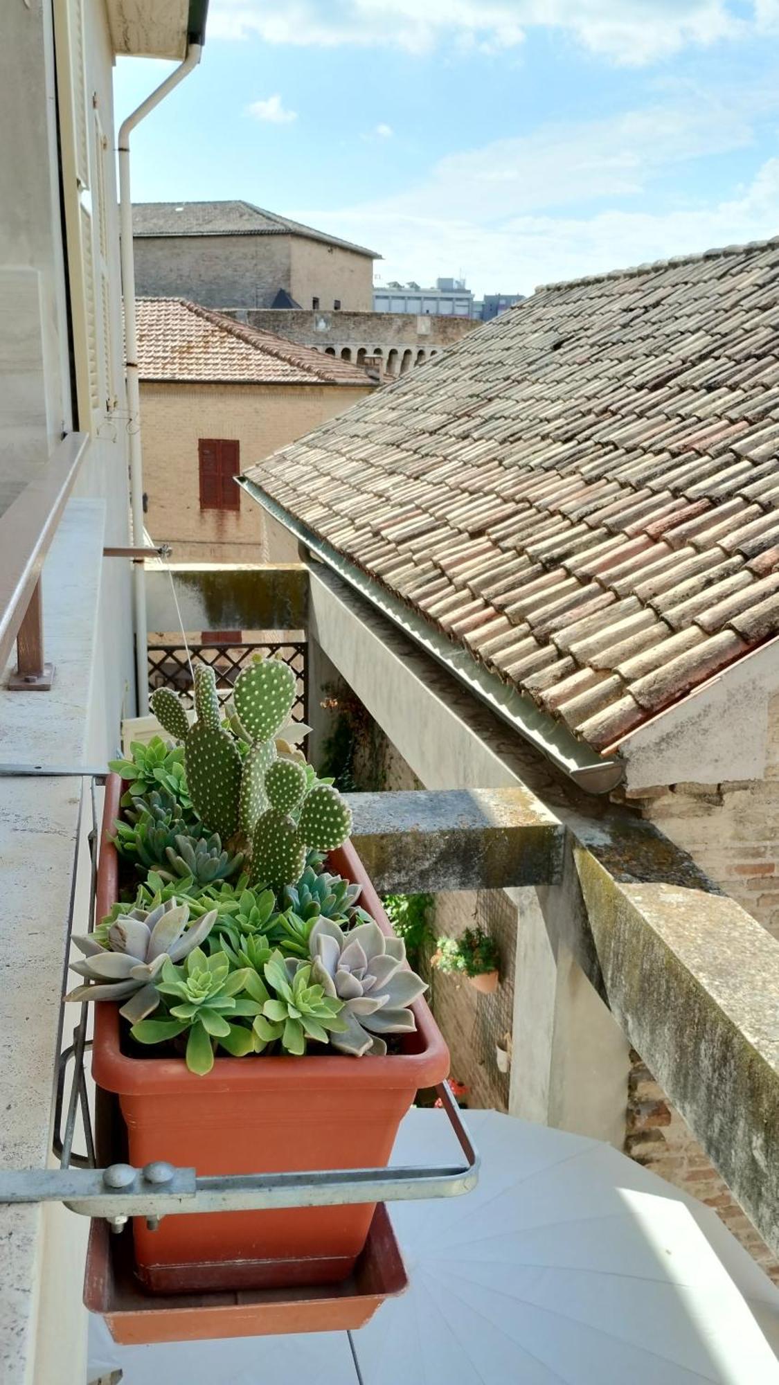 Palazzo Cavalletti - Appartamenti Nel Cuore Di Senigallia Exterior photo